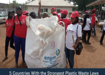 5 Countries With the Strongest Plastic Waste Laws
