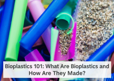 Bioplastics 101: What Are Bioplastics and How Are They Made?