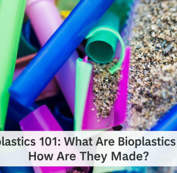 Bioplastics 101: What Are Bioplastics and How Are They Made?