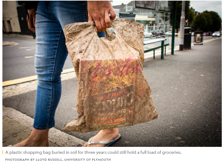 Bioplastics 101: What Are Bioplastics and How Are They Made?